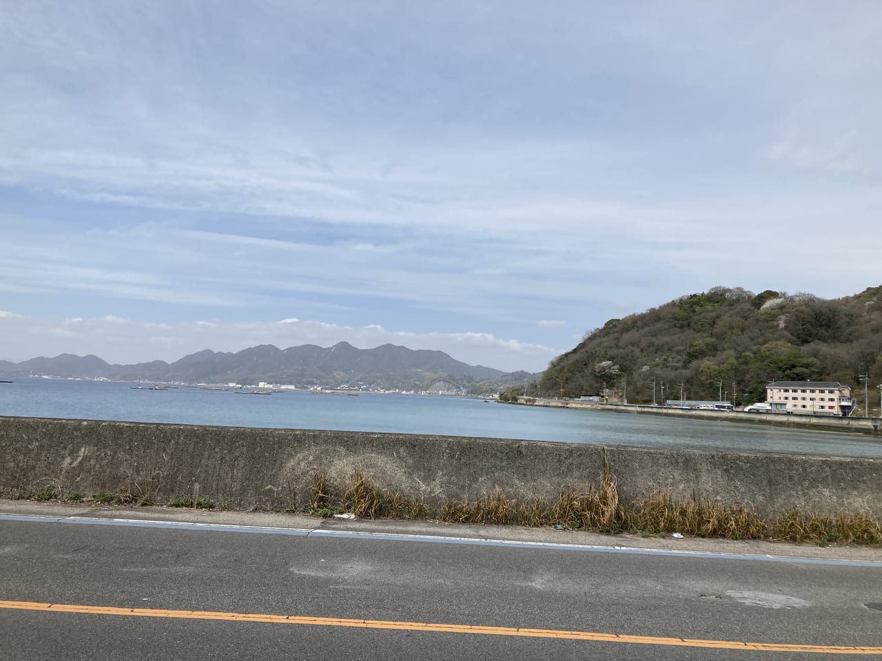 海辺の新鮮市場