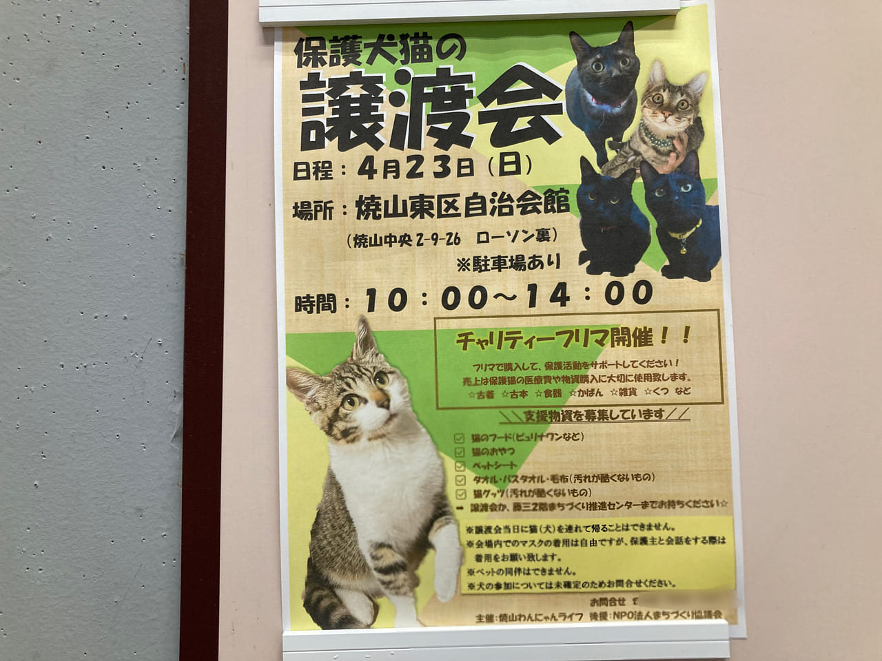 保護犬猫の譲渡会