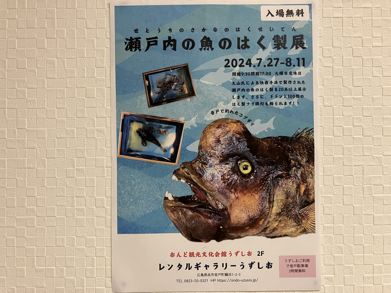 瀬戸内の魚のはく製展