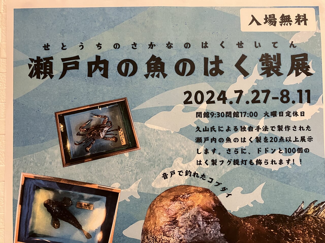 瀬戸内の魚のはく製展