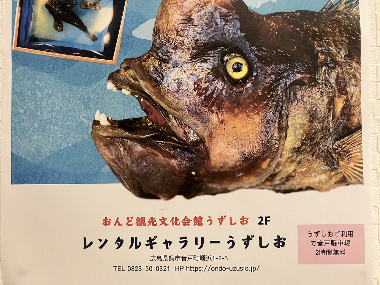 瀬戸内の魚のはく製展