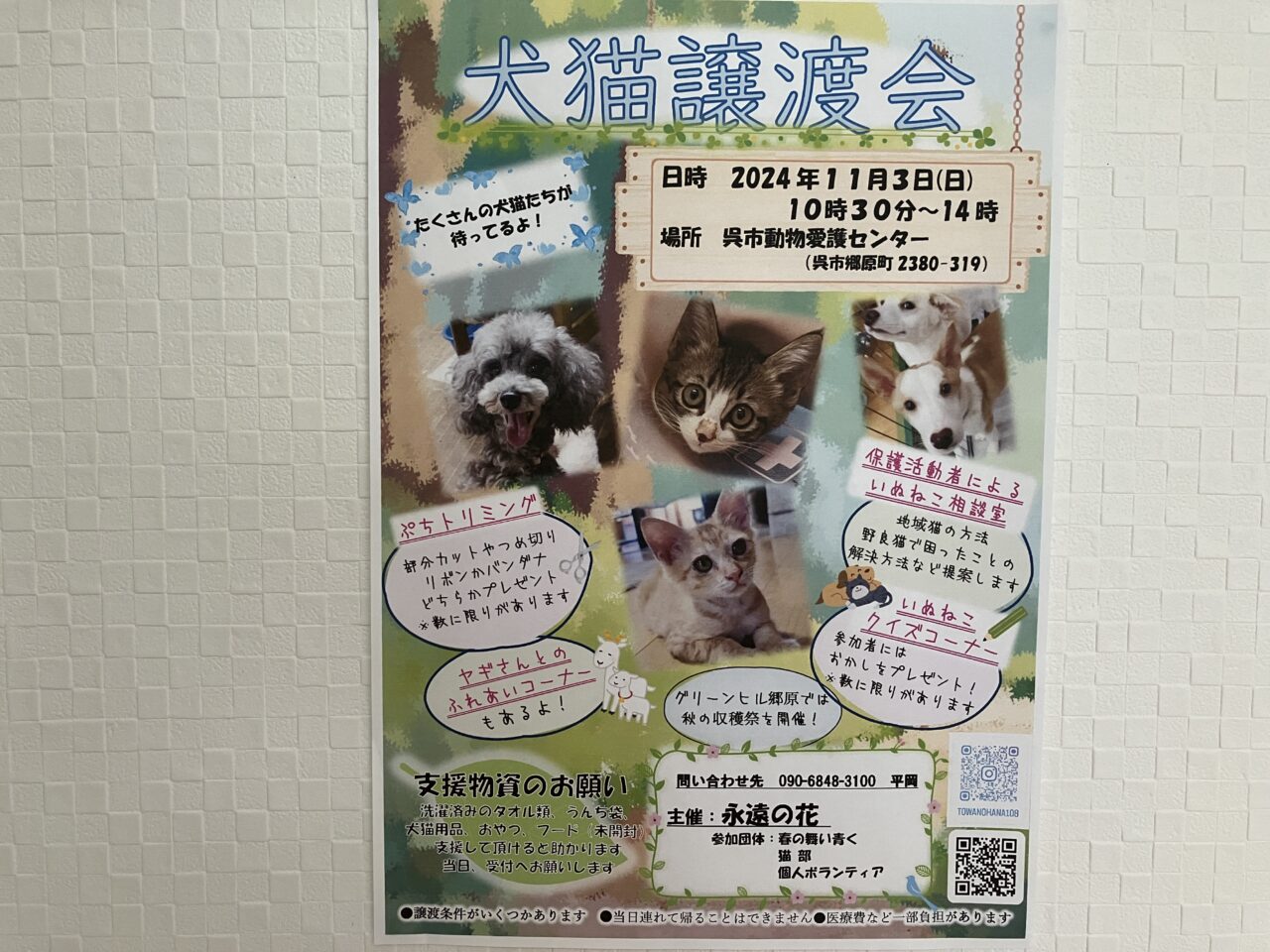 犬猫譲渡会