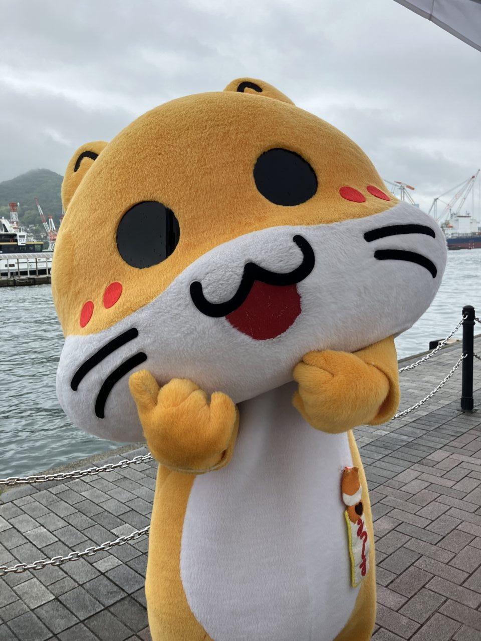 ご当地キャラ祭
