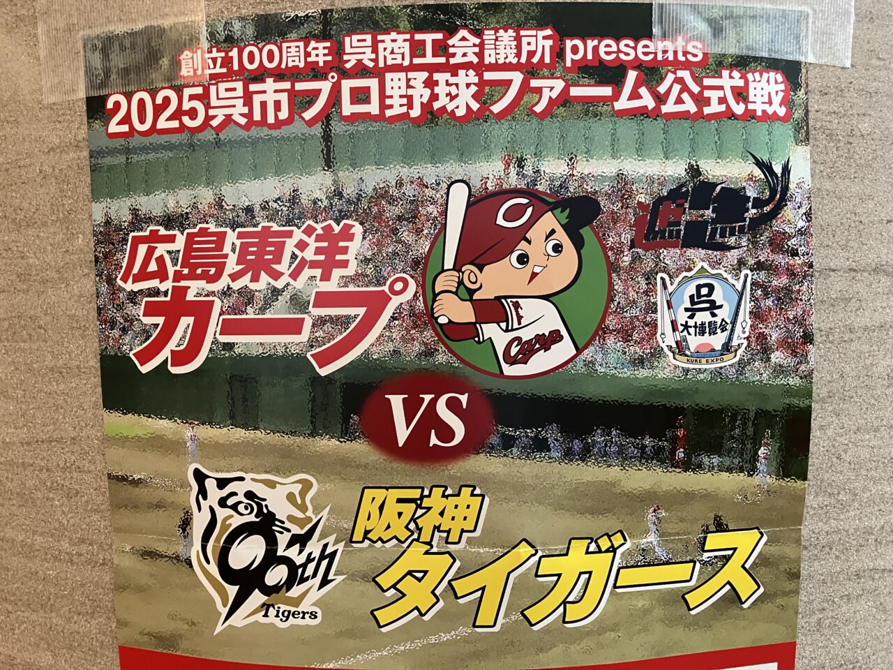 Carp