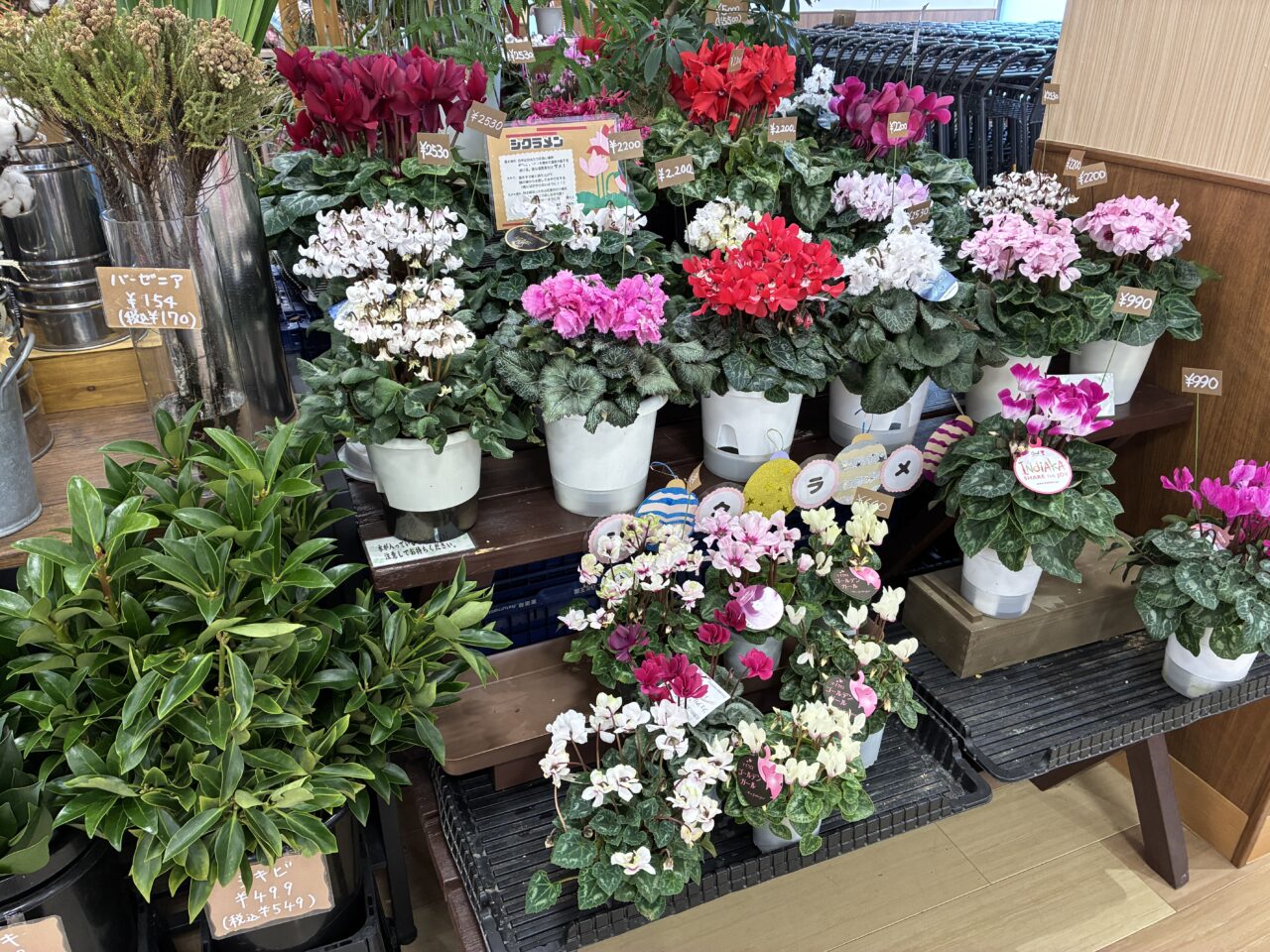 フローラルカネイ