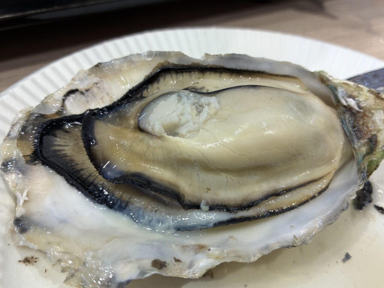 くれオイスターランド