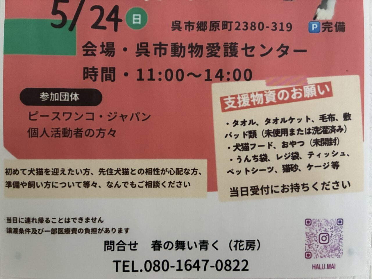いぬねこ譲渡会