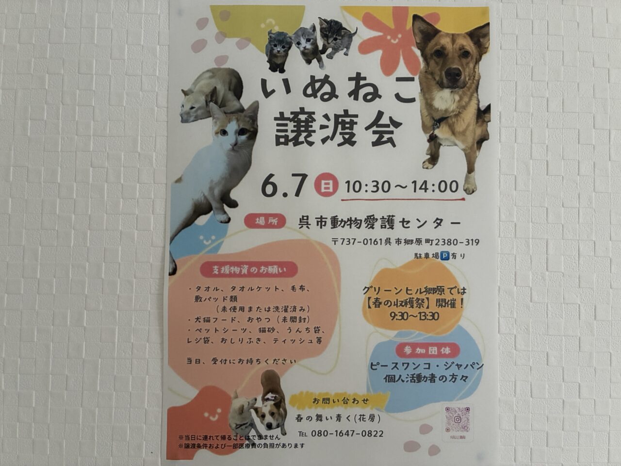 譲渡会