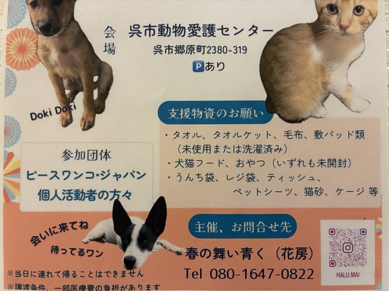 いぬねこ譲渡会